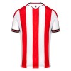 Conjunto (Camiseta+Pantalón Corto) Stoke City Primera Equipación 2024-25 - Niño